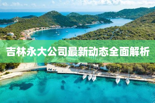 吉林永大公司最新动态全面解析
