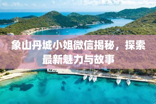 象山丹城小姐微信揭秘，探索最新魅力与故事