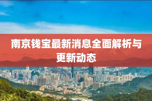 南京钱宝最新消息全面解析与更新动态