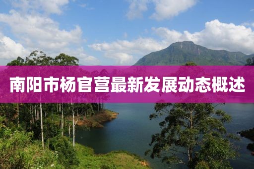 南阳市杨官营最新发展动态概述