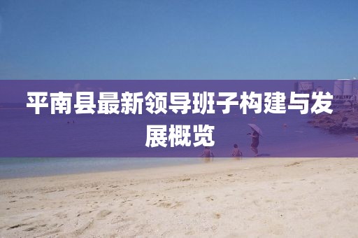 平南县最新领导班子构建与发展概览