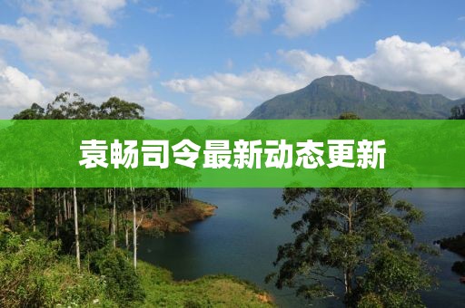 袁畅司令最新动态更新