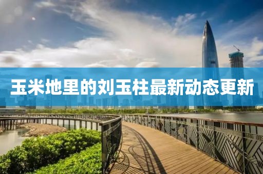 玉米地里的刘玉柱最新动态更新