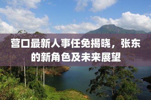 营口最新人事任免揭晓，张东的新角色及未来展望