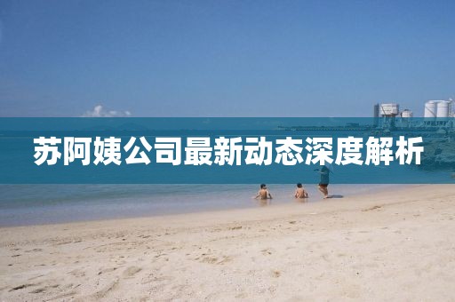 苏阿姨公司最新动态深度解析