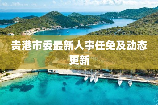 贵港市委最新人事任免及动态更新