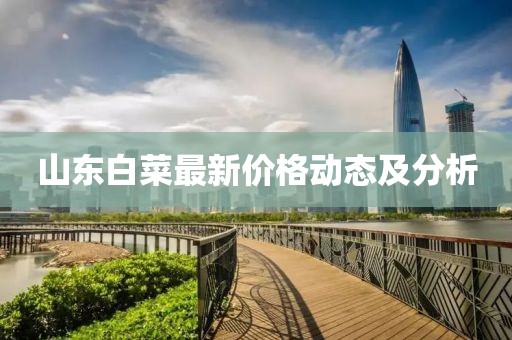 山东白菜最新价格动态及分析