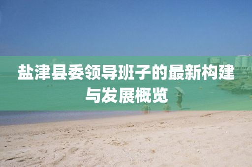 盐津县委领导班子的最新构建与发展概览