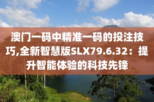 澳门一码中精准一码的投注技巧,全新智慧版SLX79.6.32：提升智能体验的科技先锋