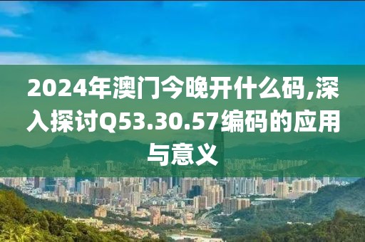 2024年澳门今晚开什么码,深入探讨Q53.30.57编码的应用与意义