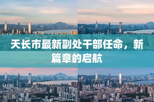 醉纵横 第43页