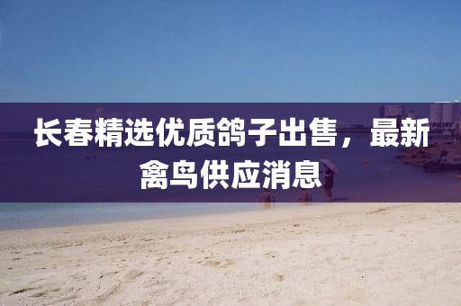 长春精选优质鸽子出售，最新禽鸟供应消息