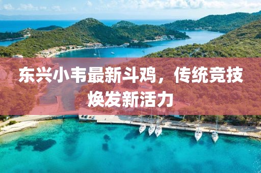 风寒影 第40页