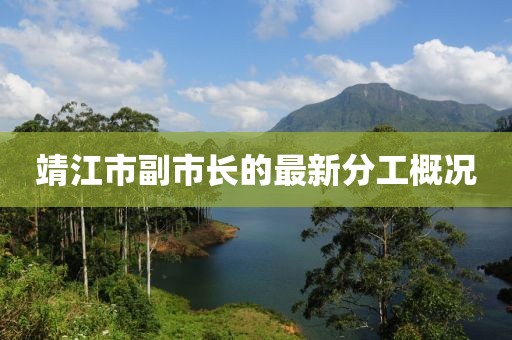 靖江市副市长的最新分工概况