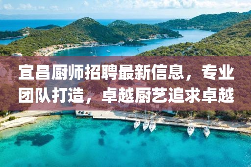 宜昌厨师招聘最新信息，专业团队打造，卓越厨艺追求卓越
