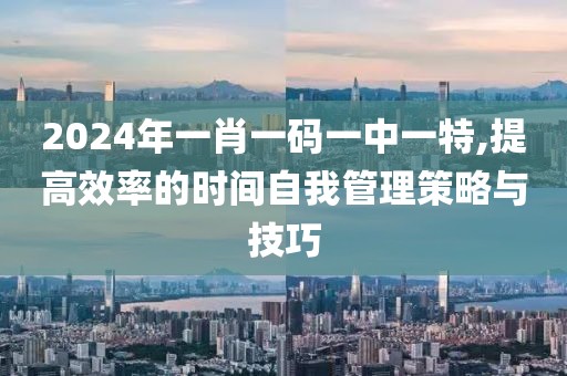 2024年一肖一码一中一特,提高效率的时间自我管理策略与技巧