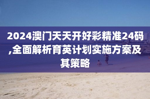 2024澳门天天开好彩精准24码,全面解析育英计划实施方案及其策略