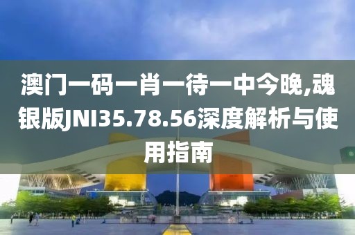 澳门一码一肖一待一中今晚,魂银版JNI35.78.56深度解析与使用指南