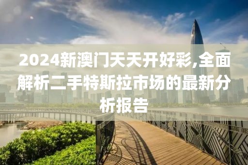 2024新澳门天天开好彩,全面解析二手特斯拉市场的最新分析报告