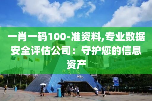 一肖一码100-准资料,专业数据安全评估公司：守护您的信息资产
