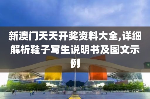 新澳门天天开奖资料大全,详细解析鞋子写生说明书及图文示例