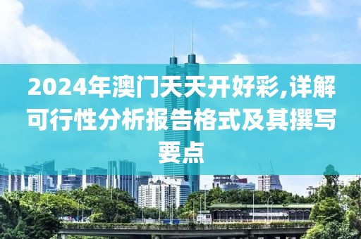 2024年澳门天天开好彩,详解可行性分析报告格式及其撰写要点