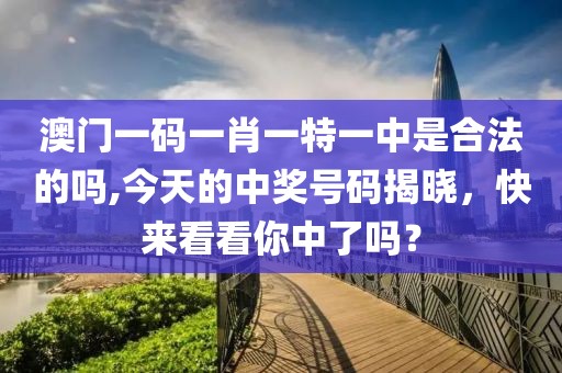 澳门一码一肖一特一中是合法的吗,今天的中奖号码揭晓，快来看看你中了吗？