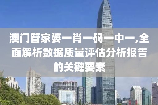 澳门管家婆一肖一码一中一,全面解析数据质量评估分析报告的关键要素