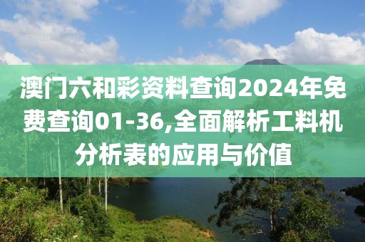 澳门六和彩资料查询2024年免费查询01-36,全面解析工料机分析表的应用与价值