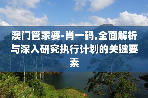 澳门管家婆-肖一码,全面解析与深入研究执行计划的关键要素