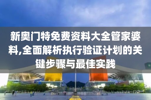 新奥门特免费资料大全管家婆料,全面解析执行验证计划的关键步骤与最佳实践