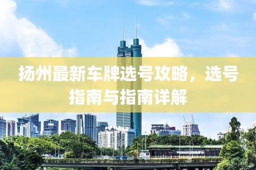 扬州最新车牌选号攻略，选号指南与指南详解