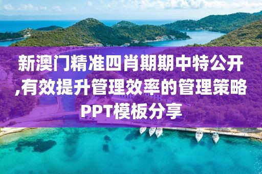 新澳门精准四肖期期中特公开,有效提升管理效率的管理策略PPT模板分享