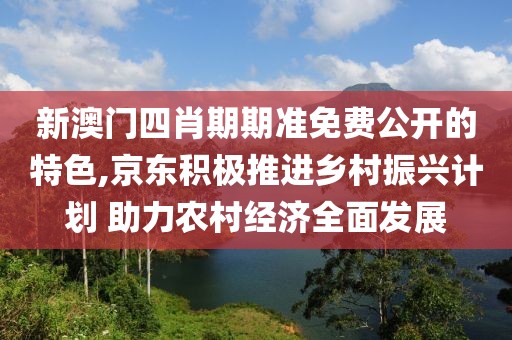 新澳门四肖期期准免费公开的特色,京东积极推进乡村振兴计划 助力农村经济全面发展