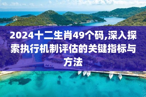 2024十二生肖49个码,深入探索执行机制评估的关键指标与方法