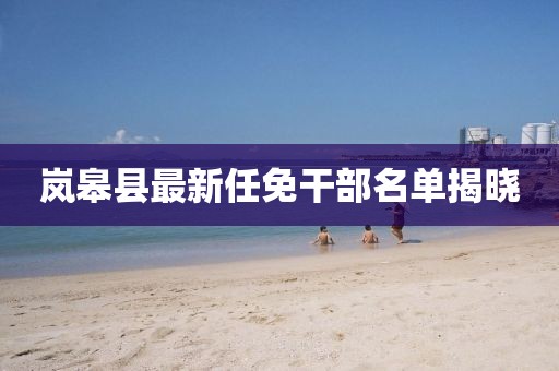 岚皋县最新任免干部名单揭晓