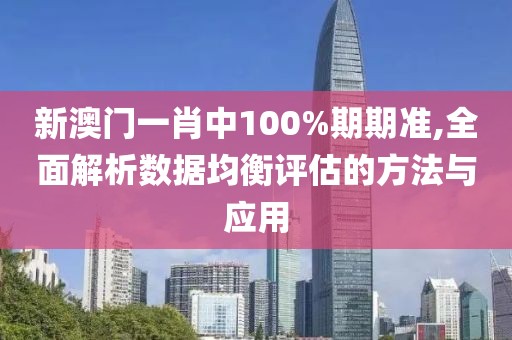新澳门一肖中100%期期准,全面解析数据均衡评估的方法与应用