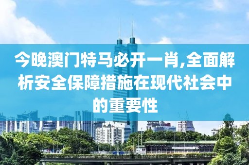 今晚澳门特马必开一肖,全面解析安全保障措施在现代社会中的重要性