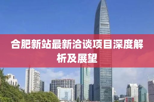 合肥新站最新洽谈项目深度解析及展望