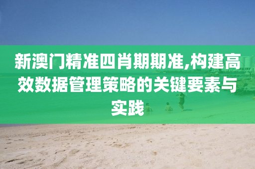 新澳门精准四肖期期准,构建高效数据管理策略的关键要素与实践