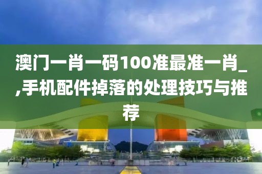 澳门一肖一码100准最准一肖_,手机配件掉落的处理技巧与推荐