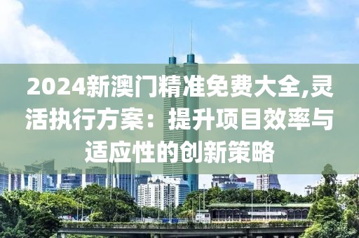 2024新澳门精准免费大全,灵活执行方案：提升项目效率与适应性的创新策略