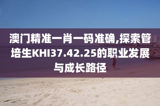 澳门精准一肖一码准确,探索管培生KHI37.42.25的职业发展与成长路径