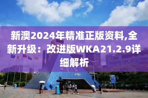 新澳2024年精准正版资料,全新升级：改进版WKA21.2.9详细解析
