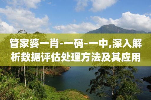 管家婆一肖-一码-一中,深入解析数据评估处理方法及其应用