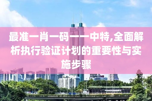最准一肖一码一一中特,全面解析执行验证计划的重要性与实施步骤