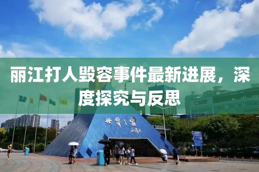 丽江打人毁容事件最新进展，深度探究与反思