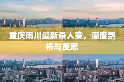 重庆南川最新杀人案，深度剖析与反思