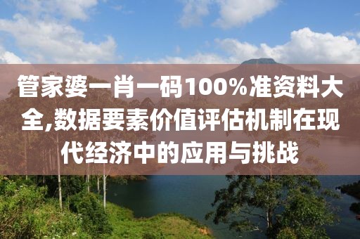 管家婆一肖一码100%准资料大全,数据要素价值评估机制在现代经济中的应用与挑战