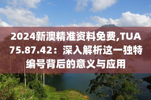 2024新澳精准资料免费,TUA75.87.42：深入解析这一独特编号背后的意义与应用